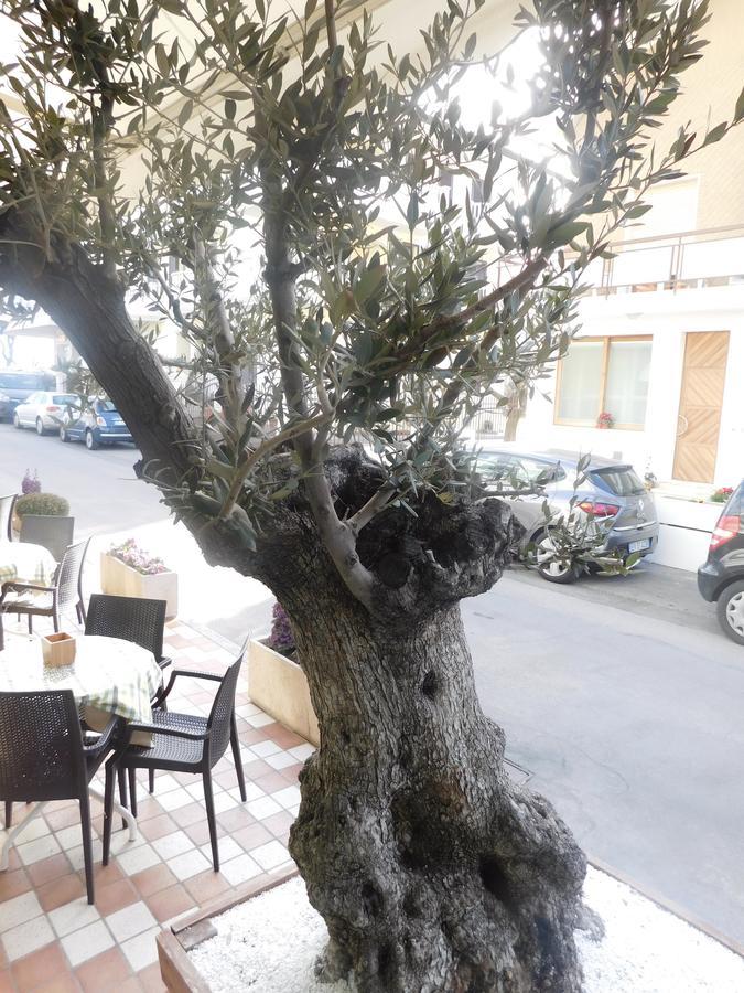 Hotel Dolores Rimini Zewnętrze zdjęcie