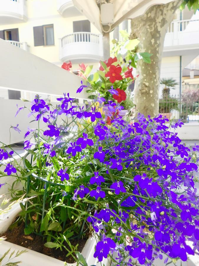Hotel Dolores Rimini Zewnętrze zdjęcie