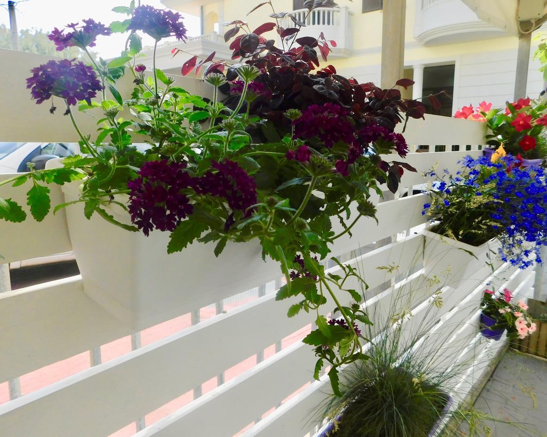 Hotel Dolores Rimini Zewnętrze zdjęcie